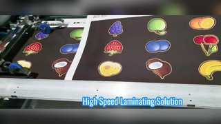 Semi-automatic Pre-coating Film Laminating Machine with 30m/min Speed 920mm Max Width 1800kg Weight