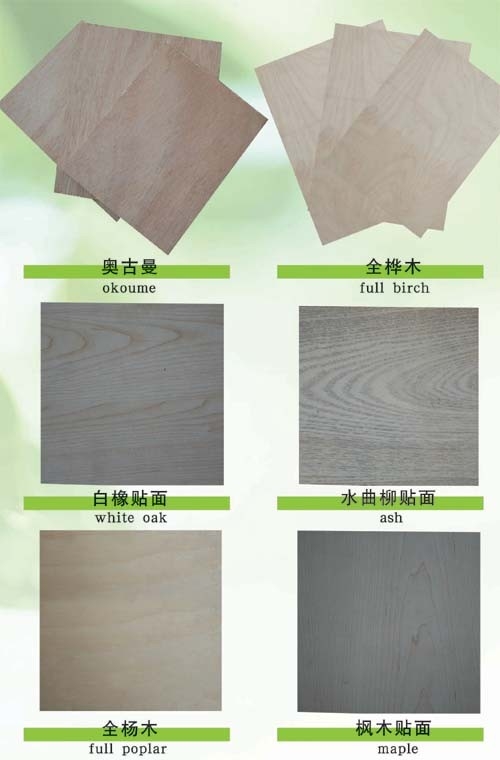 13mm 15mm 18mm 1220 x 2440 millimètres 4 x 8 pieds meurent contreplaqué Dieboard de conseil pour le fabricant de matrices